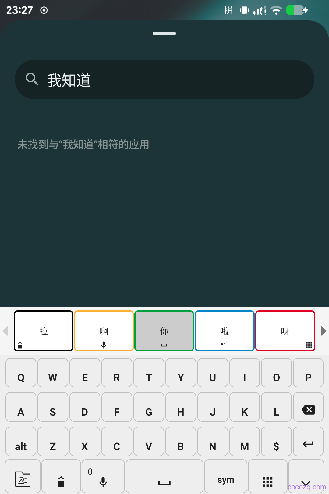 cocoime_predication_20260803-232546